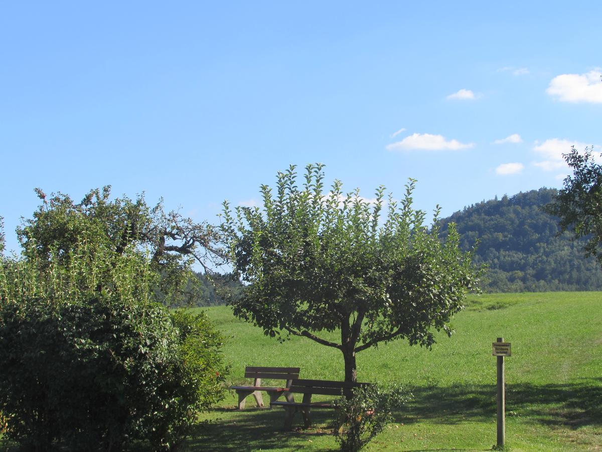 Gasthof Und Pension Kulmberghof Gossendorf  Zewnętrze zdjęcie