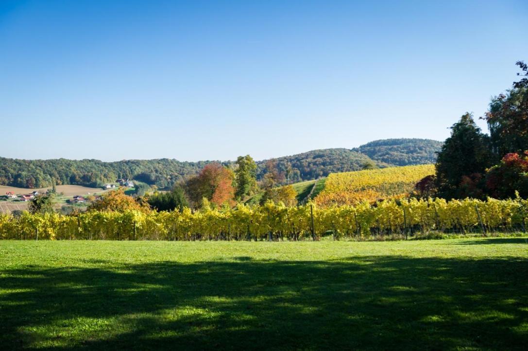 Gasthof Und Pension Kulmberghof Gossendorf  Zewnętrze zdjęcie
